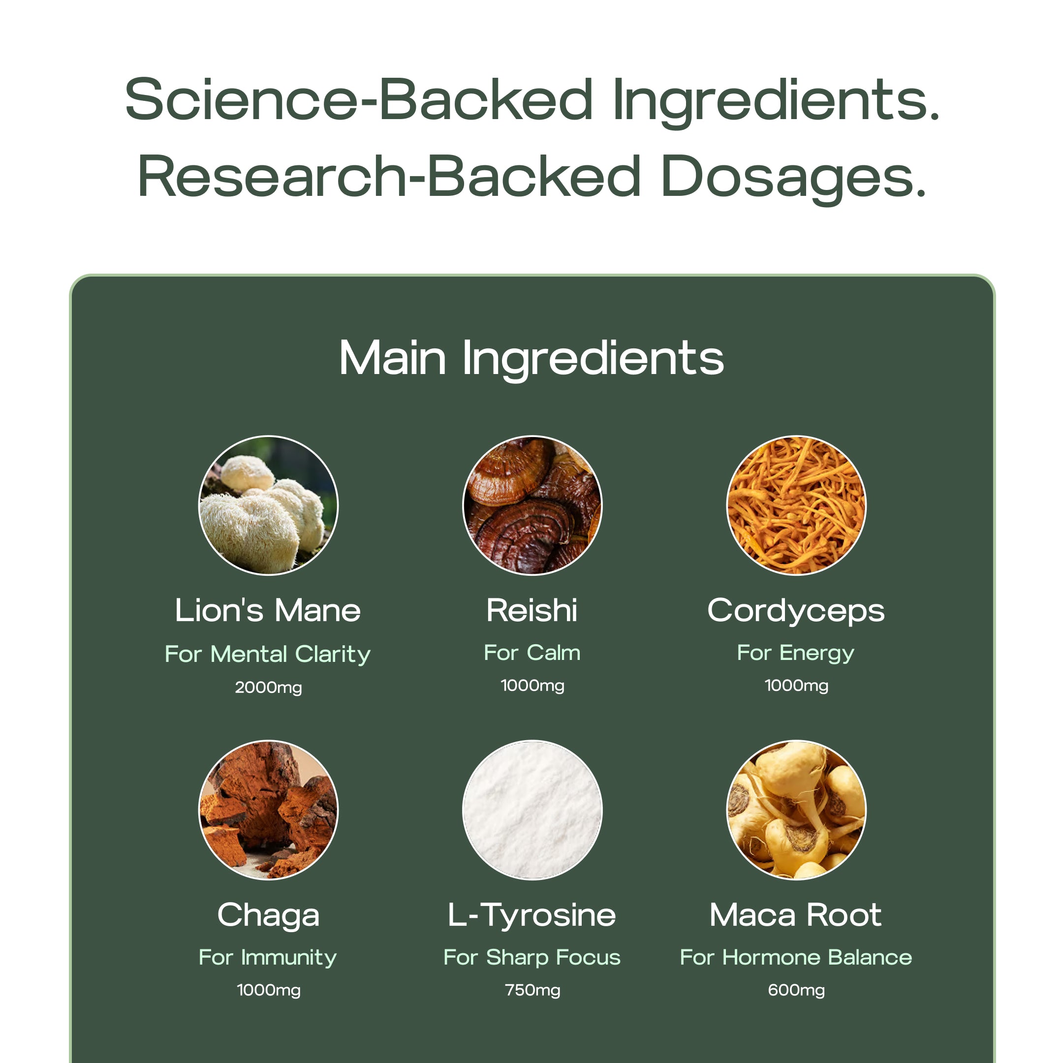 Mushroom Adaptogen Blend